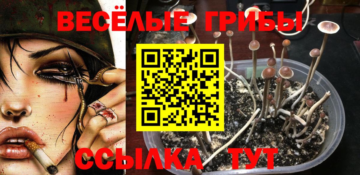 Галлюциногенные грибы Psilocybine cubensis  Псилоцибиновые грибы GOLDEN TEACHER  Вход с VPN  Салехард 